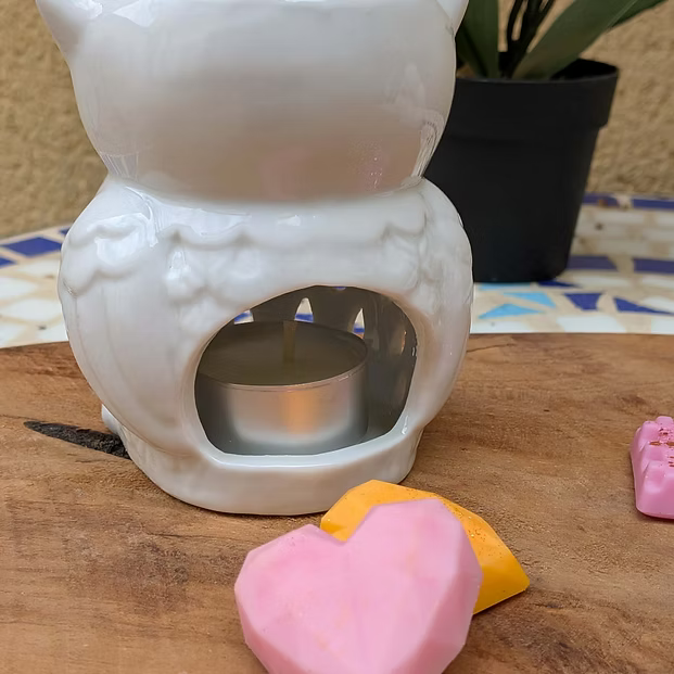 Brûleur à Fondants Chouette Blanche